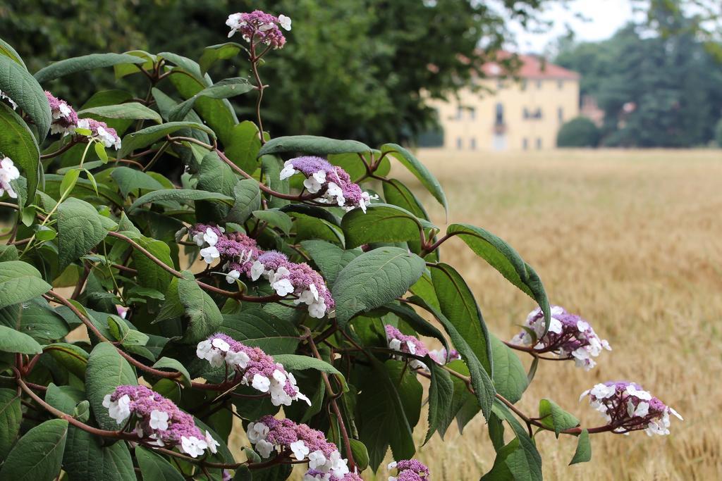 Agriturismo Il Torrione Pinerolo Exteriör bild